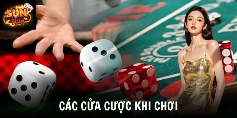 Các cửa cược khi chơi