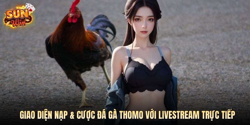 Giao diện nạp cược đá gà Thomo với livestream trực tiếpGiao diện nạp & cược đá gà Thomo với livestream trực tiếp