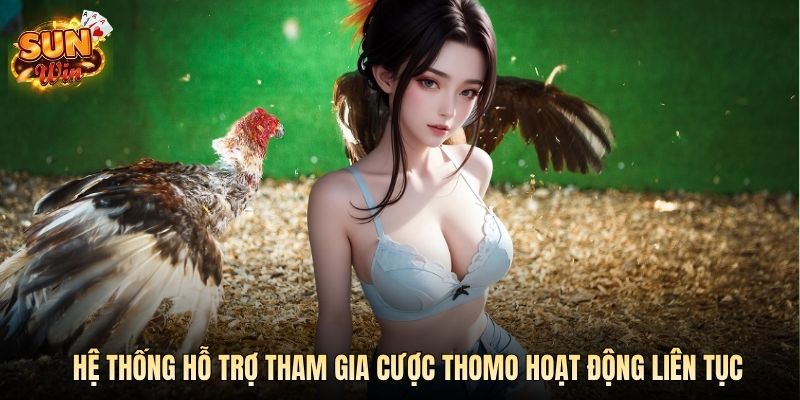 Hệ thống hỗ trợ tham gia cược Thomo hoạt động liên tục